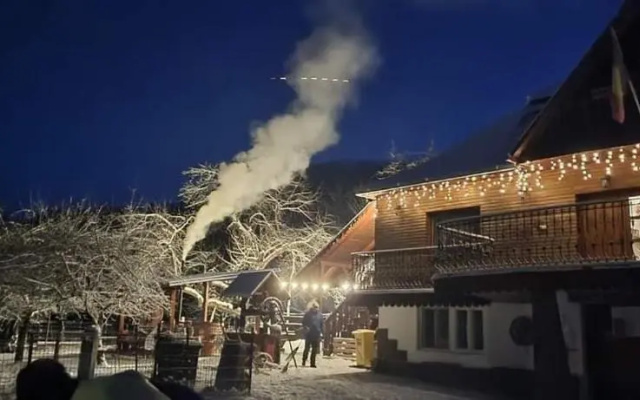 Pensiunea Casa Butnarului