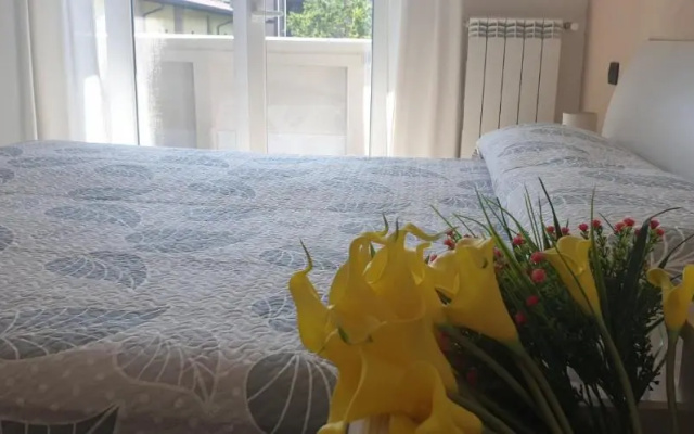Karina House-check in H 24