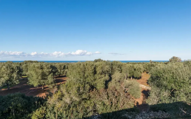 Villa Aura d Olivo con Piscina by Wonderful Italy