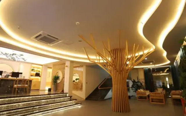 Nanshan Bamboo Sea Ann Diffuse cloud mu homestay