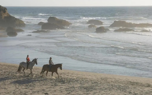 Surf & Sand Lodge