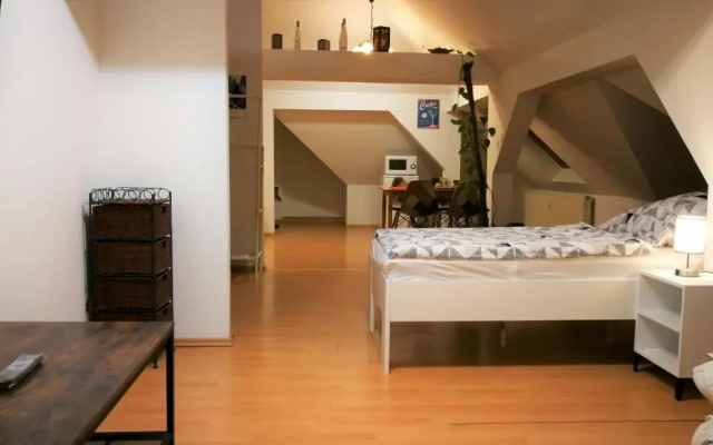 Attic Oelsnitz am Hegebach mit Netflix und Parkplatz Self Check-in