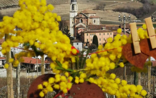 Agriturismo Mondoarancio