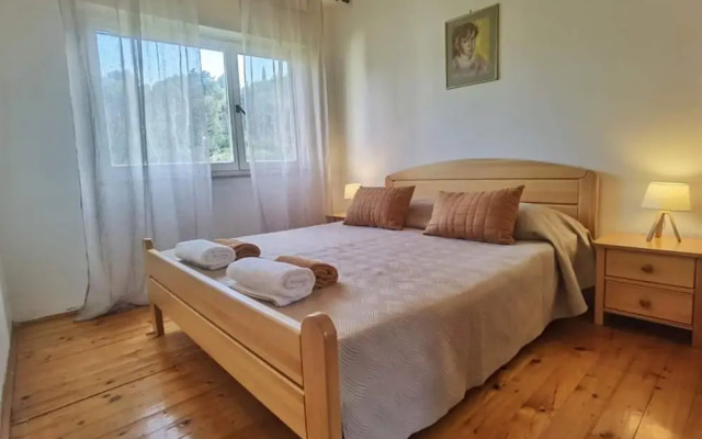 Charming Apartment Center Split Terrace & Parking