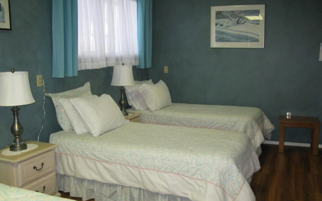 Country Comfort Bed & Breakfast