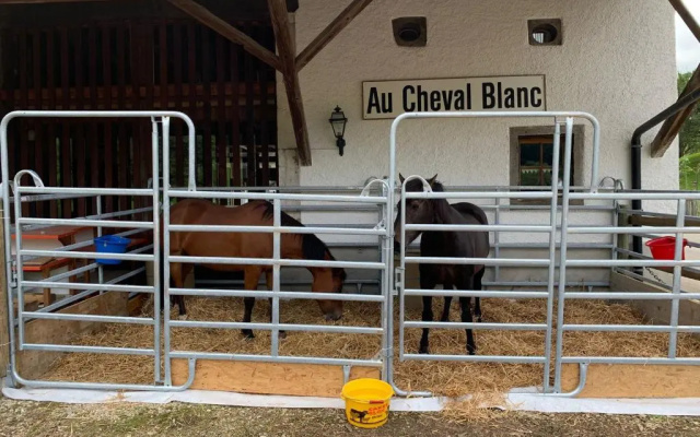 Hôtel Au Cheval Blanc