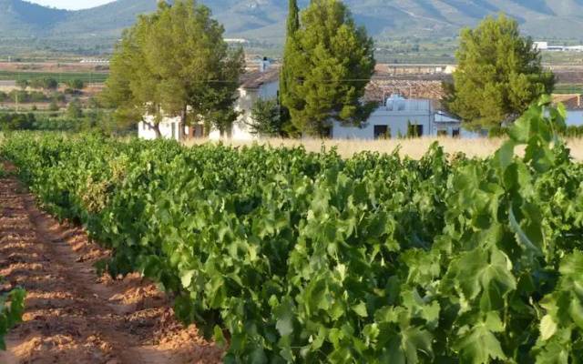 Casa Rural El Arrullo