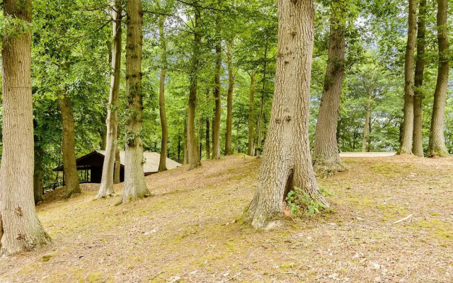 Hollies Lodge