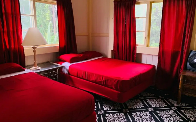 Wild Ginger Hotel
