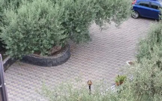 Azienda Agricola Cuntarati
