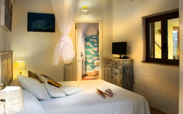 B&B Calandrella