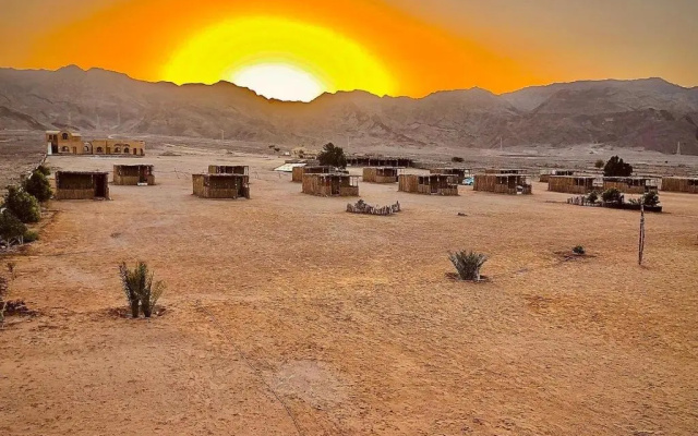 Lala Land Camp Sinai