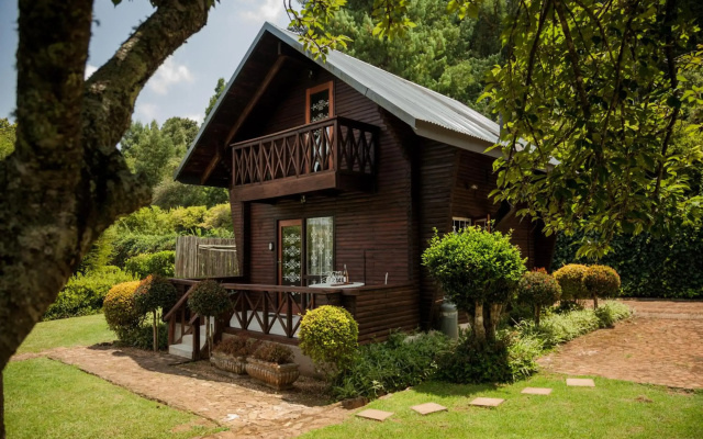 Viewpoint - Cabin 5