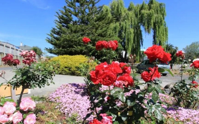 Waiuku Motel
