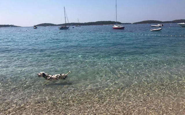 Apartmani Marinka Viskovic