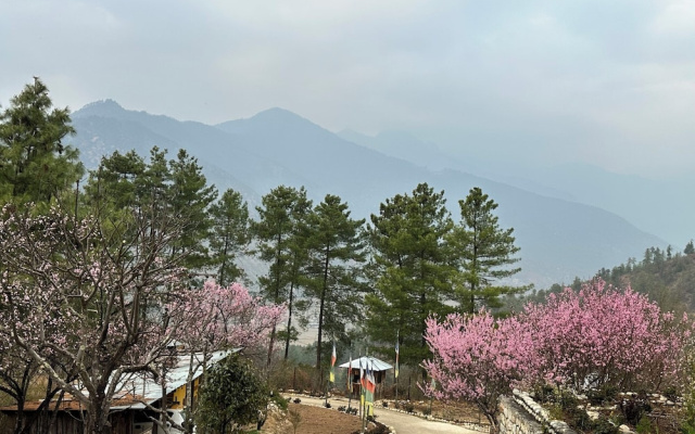 Haven Resort Paro