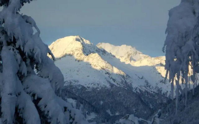 Haus Urtirol