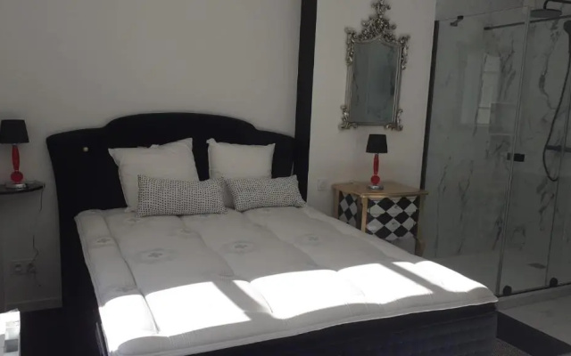 Appartement OH! Duc de Sully