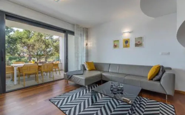 Luxury Apartments Novigrad