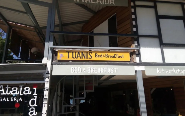 Tuanis B&B Tamarindo