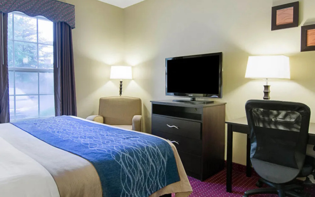 Comfort Inn West