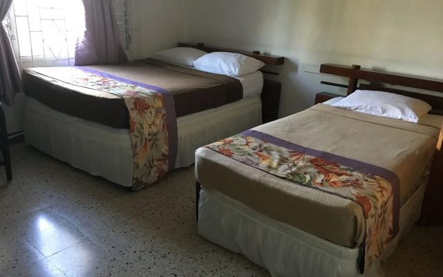 Palm View Guesthouse and Conference Centre