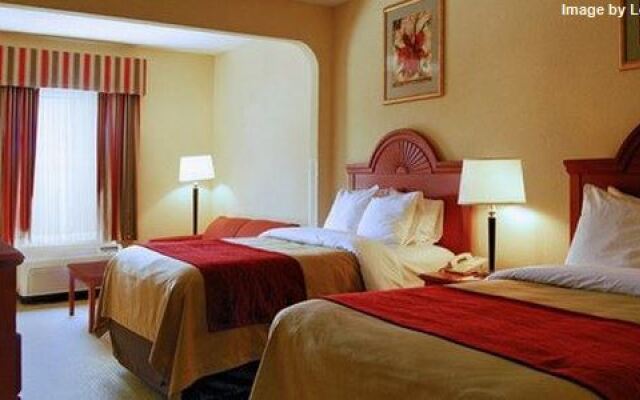 Comfort Inn Altavista Lynchburg South In Altavista United
