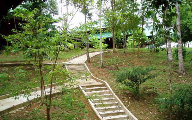 Sukau Proboscis Lodge Bukit Melapi