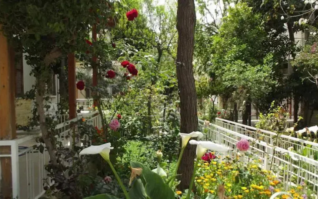 Villa Limoncello