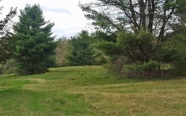 Tentrr - Pleasant Valley Maplecroft Camp-Campsite
