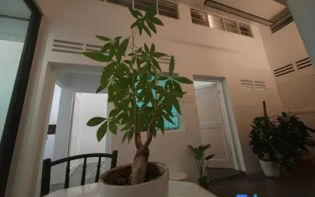 Zen Retreat KL (2BR) Colonial-Zen style