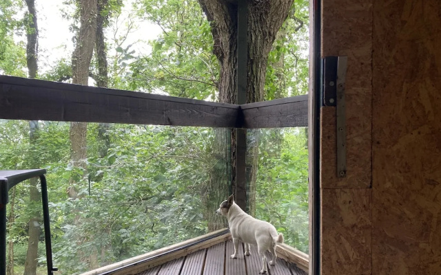 3 Guests - Pet Friendly - Grid Tree-house