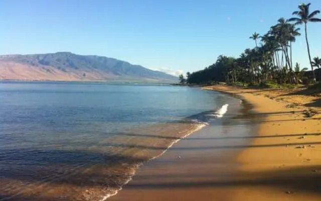 Aloha Mai2