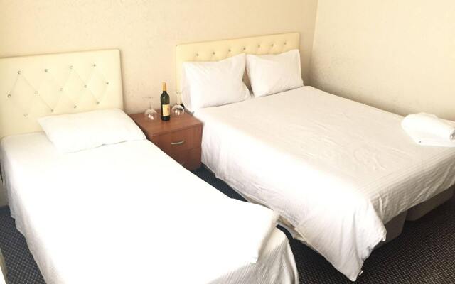 New Backpackers Hostel комната для гостей
