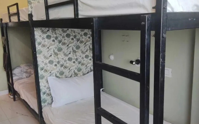 Ns Backpackers Hostel