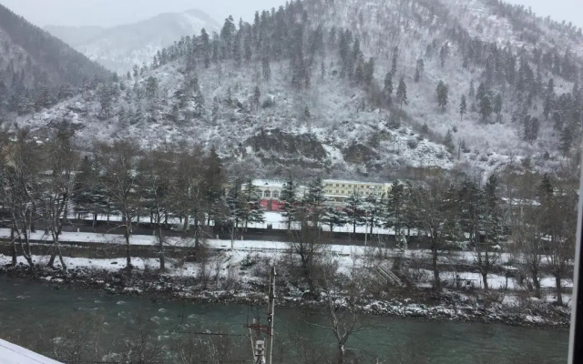 Karlsson Borjomi Apartment.