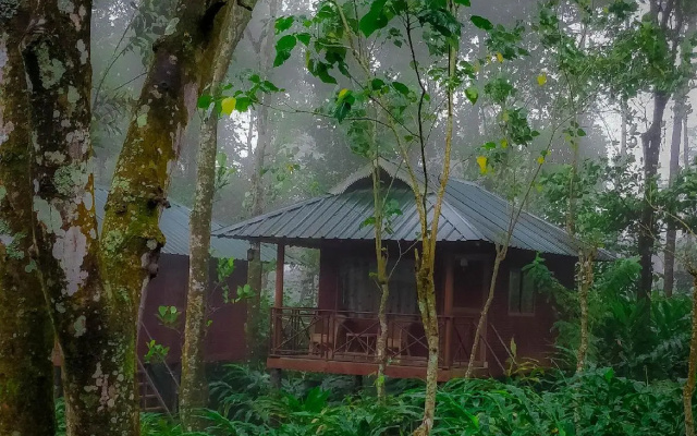 Monsoon Retreats