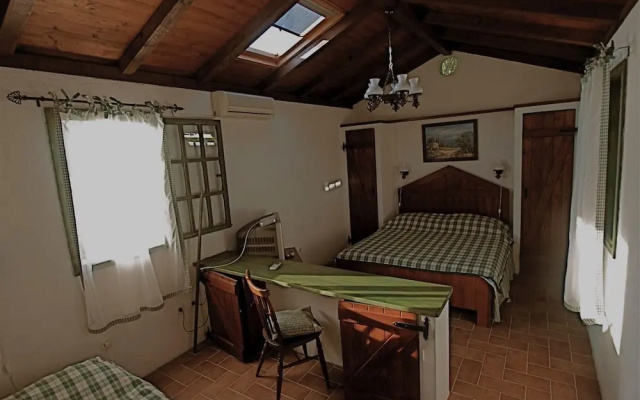 Apartments Cvita