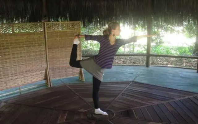 Nature Retreat with Healing Dogs in Brazil