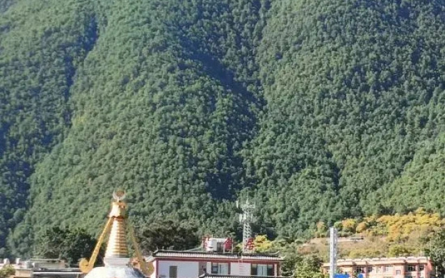 Weixi Chujinju Homestay