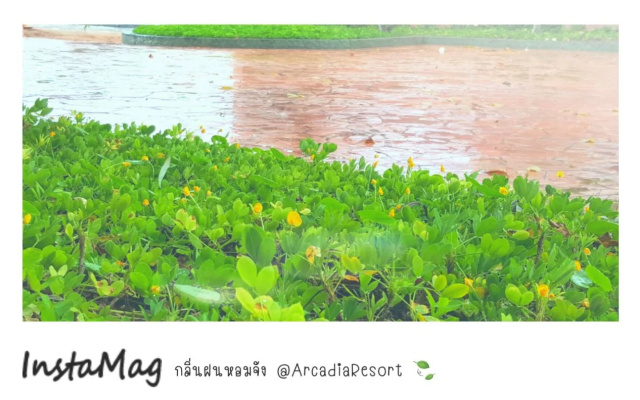 Arcadia Resort