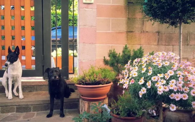 Bed & Breakfast Da Rosy