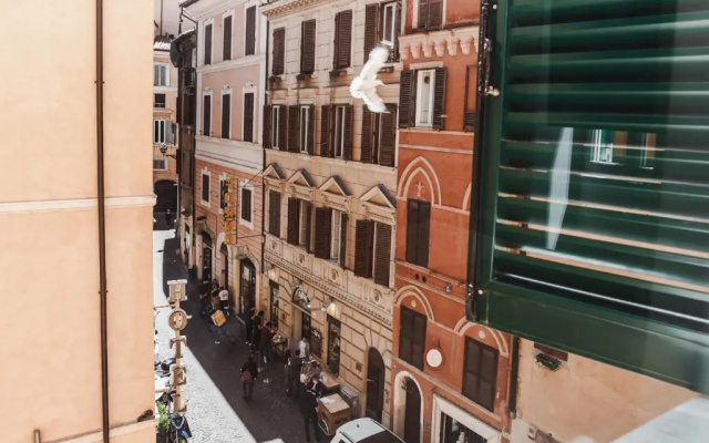 Nikis Collection Navona