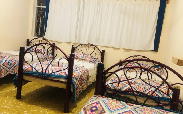 Los Nardos Hostel