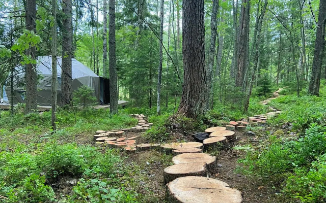 Вили Улей Карелия