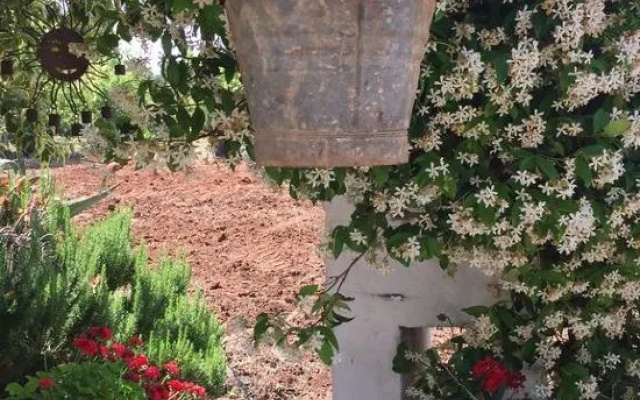 Trulli del Gelso