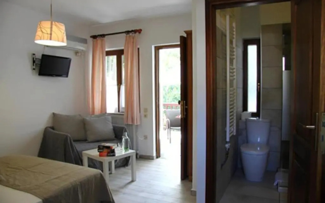 PLATANOFYLLA Studio No5