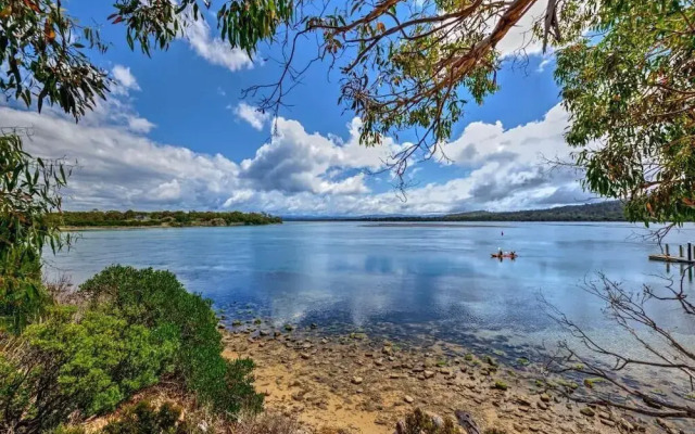 Swan Cove