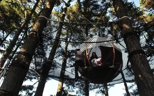 Les Nids du Parcabout