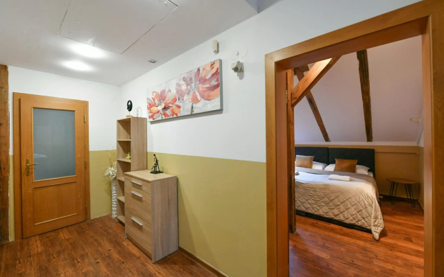 Amazing Charles Bridge Apartment